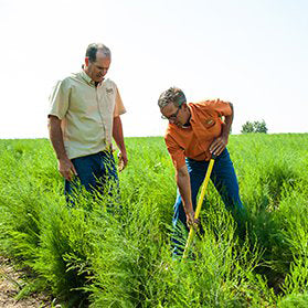 Columbia Valley Farms