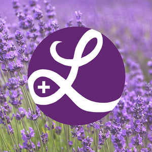 Find Lavender & More