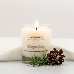 PACIFISCENCE Candles Evergreen Icicles Fir Citrus | Made In Washington | Elegant Candles