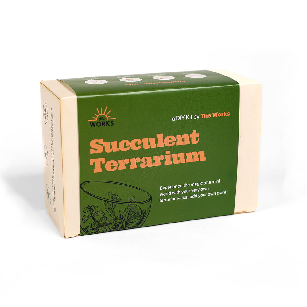 The Works Seattle Succulent Terrariums Kit | Made In Washington | Local Grow Your Own Cactus