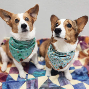 The Cheery Pet Seattle Dog Bandana | Made In Washington | Locally Made Pet Gifts
