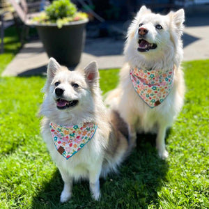 The Cheery Pet Pink Floral Dog Bandanas, Large | Made In Washington | Bandanas For Dogs