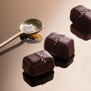 Fran's Chocolate Grey & Smoked Salt Caramels | Made In Washington | Valentine Box of Chocolate Covered Caramels