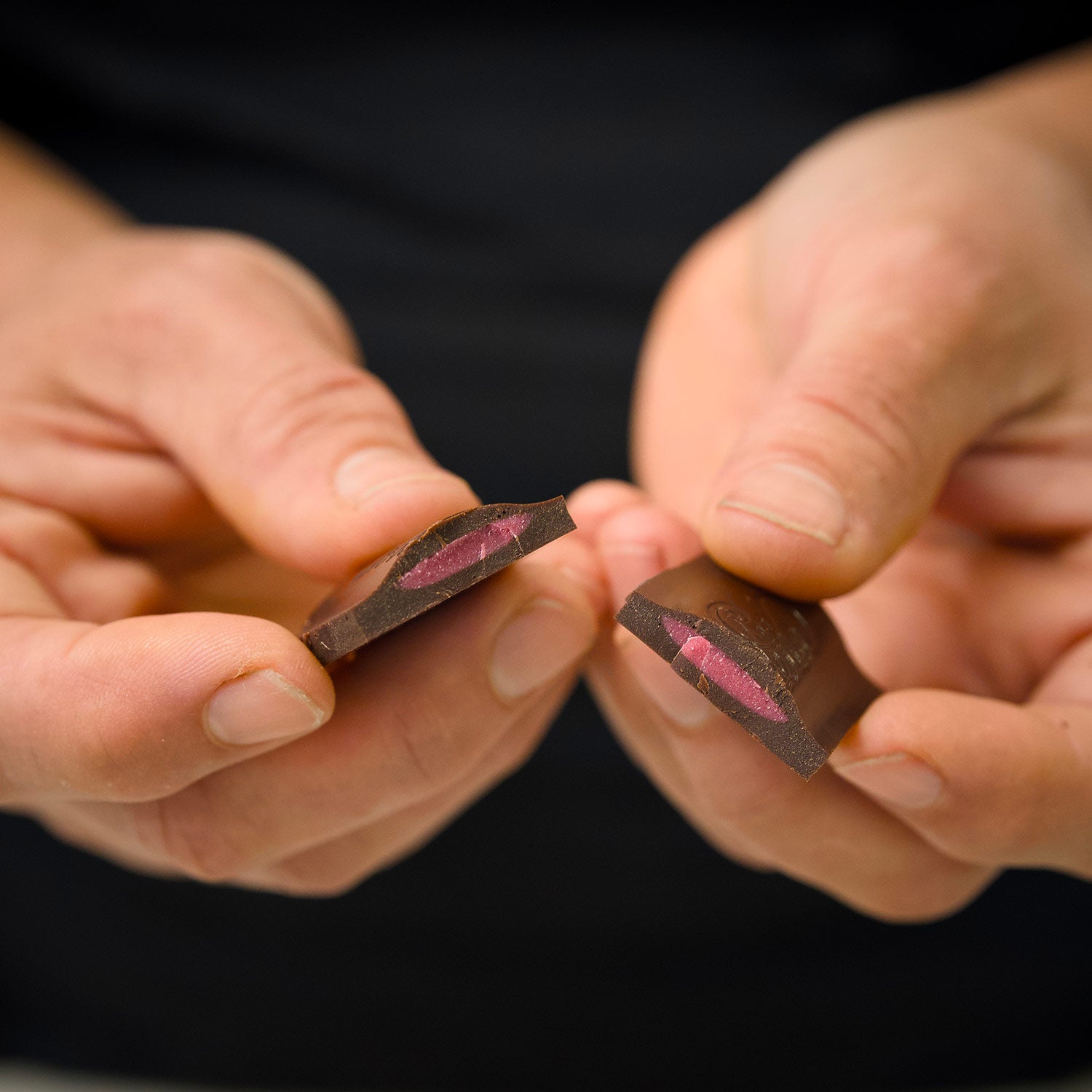 Dolcetta Dk Chocolate Raspberry Bar | Made In Washington | Sweet Treat