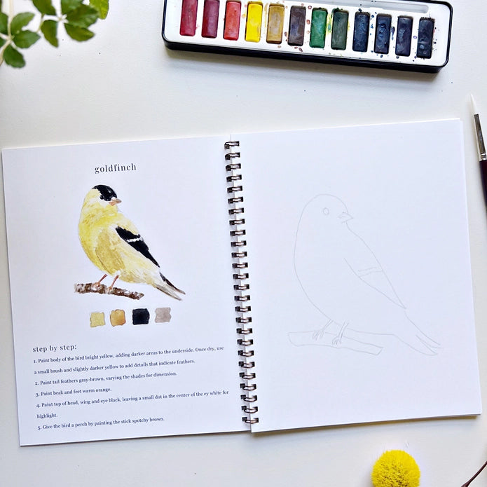 Emily Lex Studio Birds Watercolor Workbook | Made In Washington | Beginners Art Book