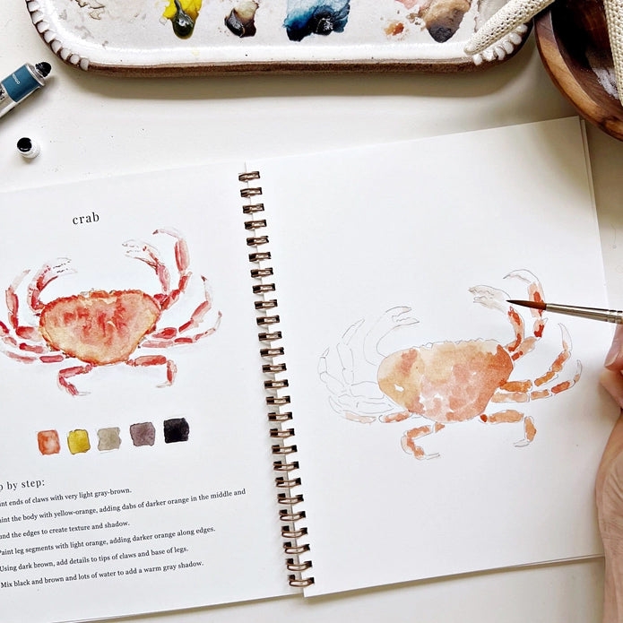 Emily Lex Studio Seaside Watercolor Workbook | Made In Washington | Fun Kid's Art Activity