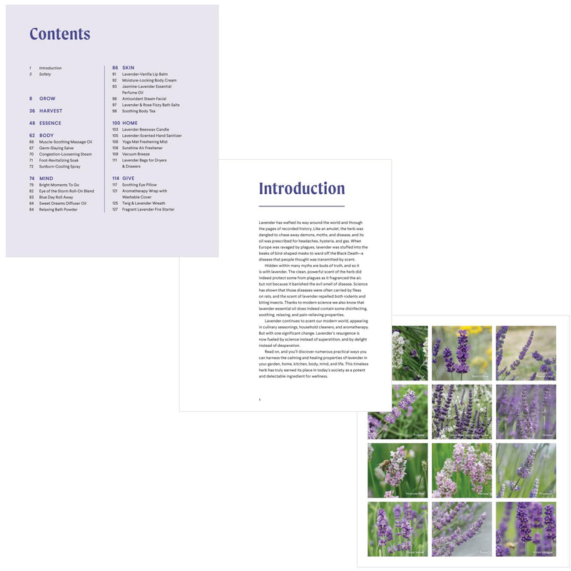 lavender plant bonnie Bonnie Louise Gillis | Lavender | Made In Washington