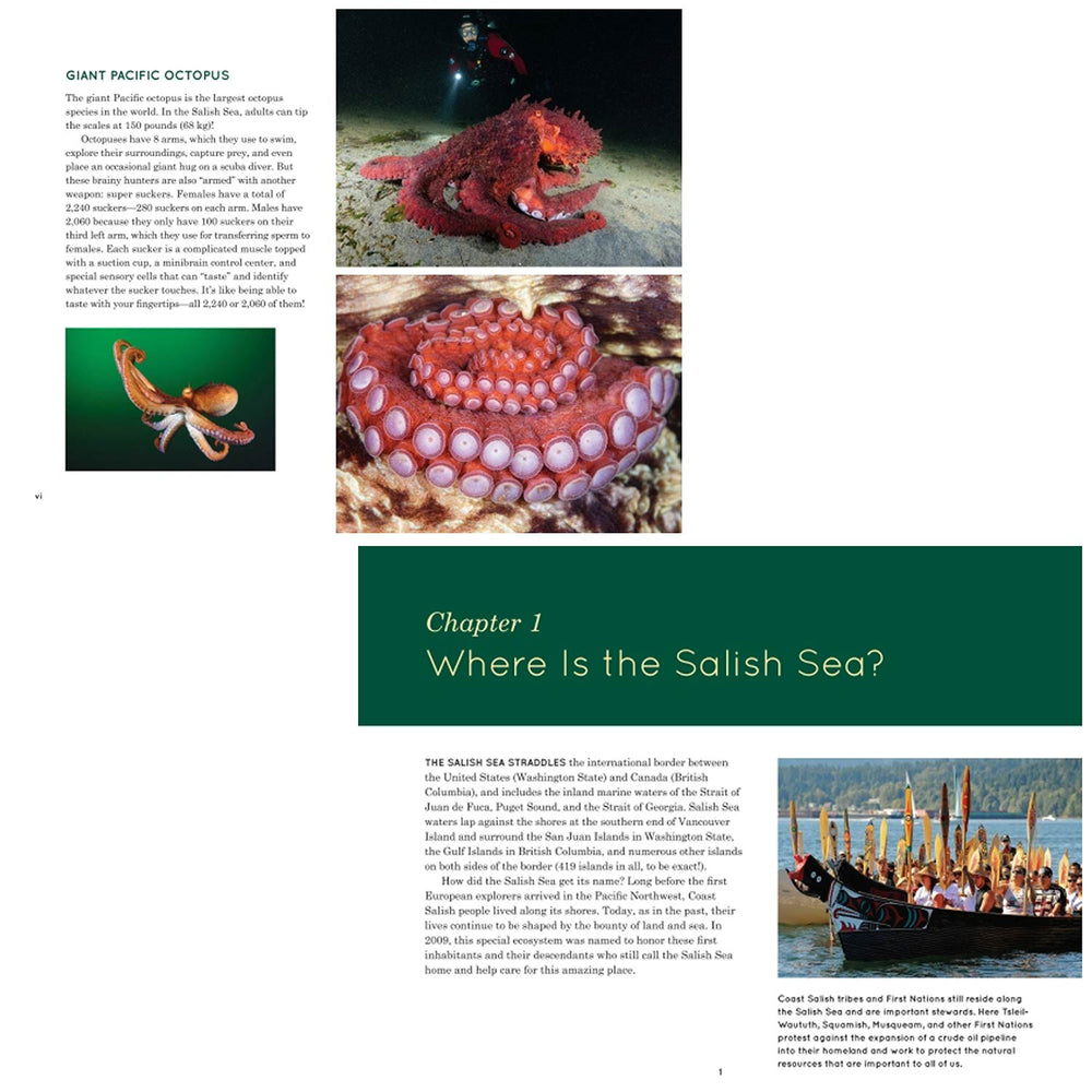 Explore the Salish Sea | Made In Washington | Nature Guide for Kids | PNW Gifts