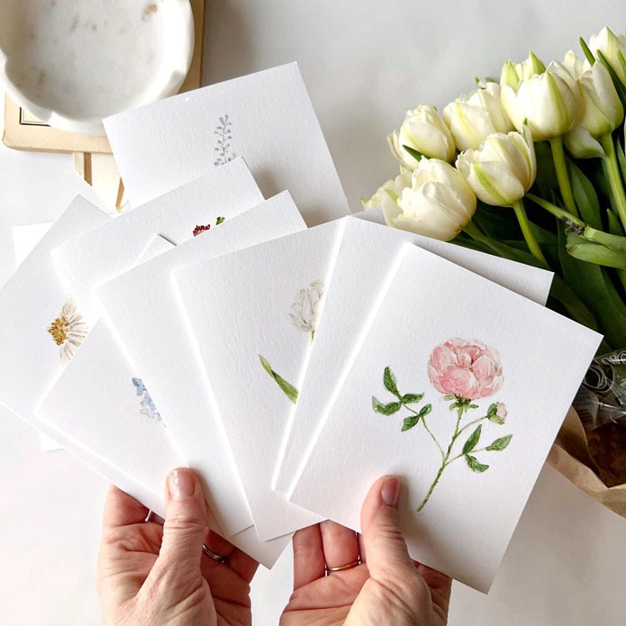 Emily Lex Studio Asstd Garden Flowers Notecard Set |Made In Washington | Designed In Gig Harbor Washington