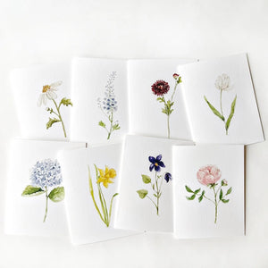 Emily Lex Studio Asstd Garden Flowers Notecard Set |Made In Washington | Local  Cards