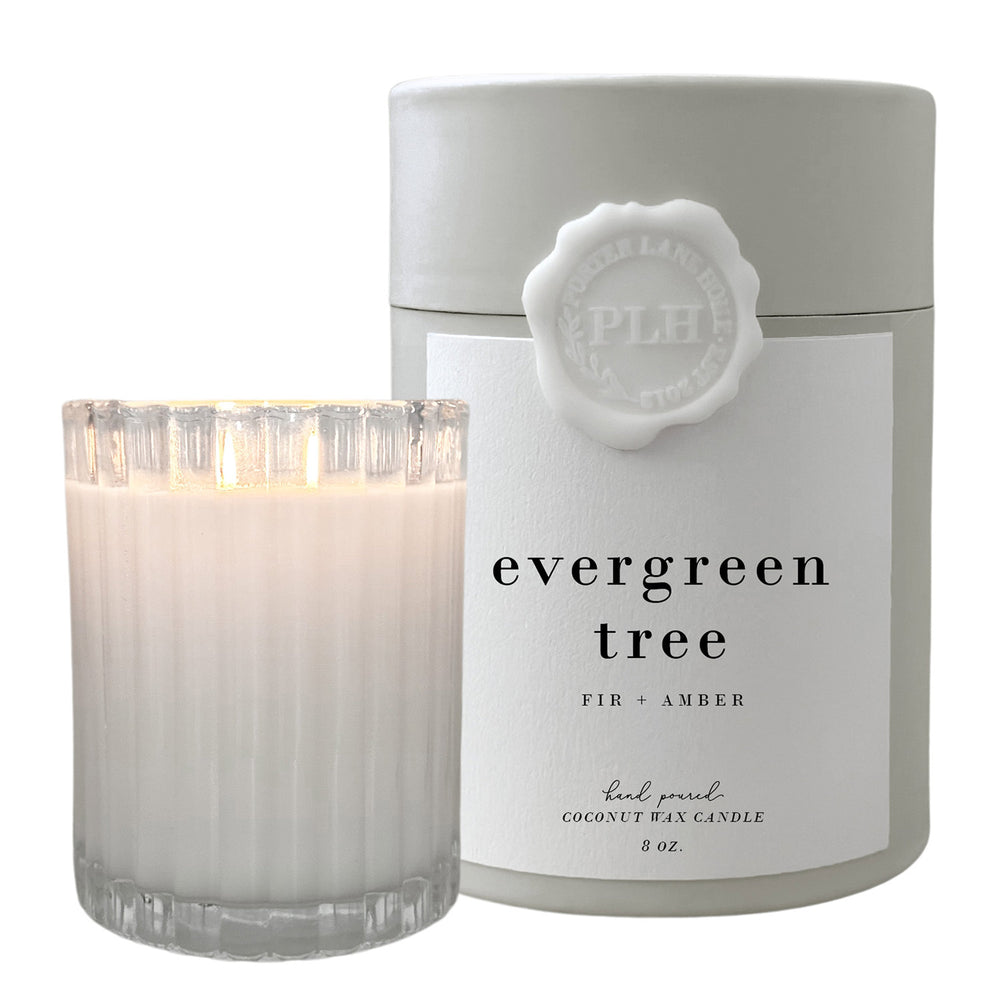 Porter Lane Home Evergreen Tree Candle | Made In Washington | Fir + Amber Exclusive Scent For Made In Washington