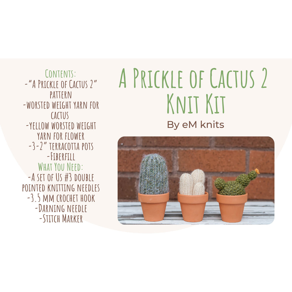 eM knits Knit Kit A Prickle of Cactus 2 | Made In Washington | DIY Kit | Crafter Gifts Froom The Pacific Northwest