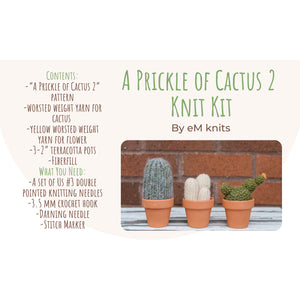 eM knits Knit Kit A Prickle of Cactus 2 | Made In Washington | DIY Kit | Crafter Gifts Froom The Pacific Northwest