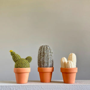 eM knits Knit Kit A Prickle of Cactus 2 | Made In Washington | DIY Kits | PNW Gifts