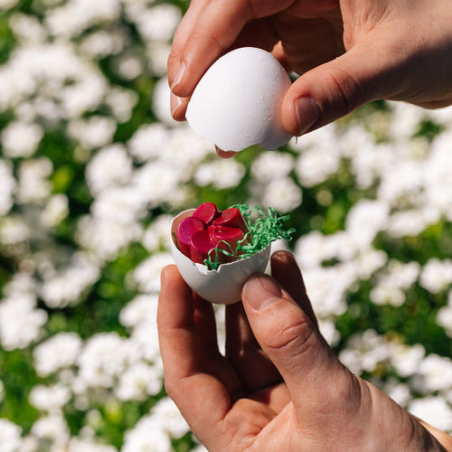 Dolcetta Easter Bonbons 9 pc | Made In Washington | Local Easter Candy | Easter Gifts | Chocolate Easter Eggs