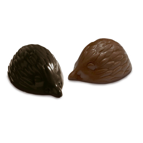 Box of chocolate-covered hedgehogs with Bright's Candies brand label on a white surface. | Bright's Candies Chocolate Peanut Butter Hedgehogs | Made In Washington | Chocolate Box Gifts