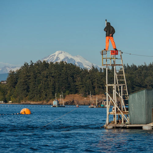 Reefnet Fishing - Person standing on a small tower by the water with a mountain in the background