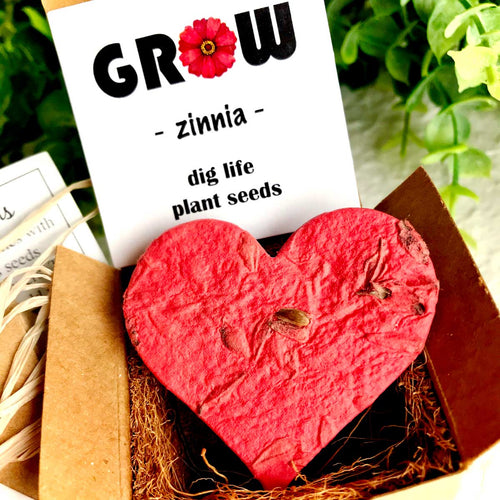 Zinnia Heart Seed Starting Kit -  Plantable Seed Paper Gift Box