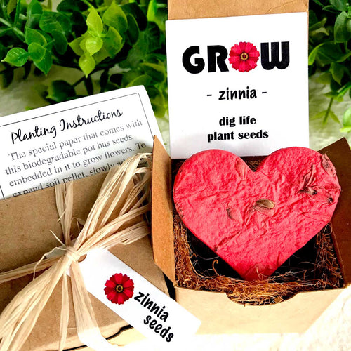 Zinnia Heart Seed Starting Kit -  Plantable Seed Paper Gift Box