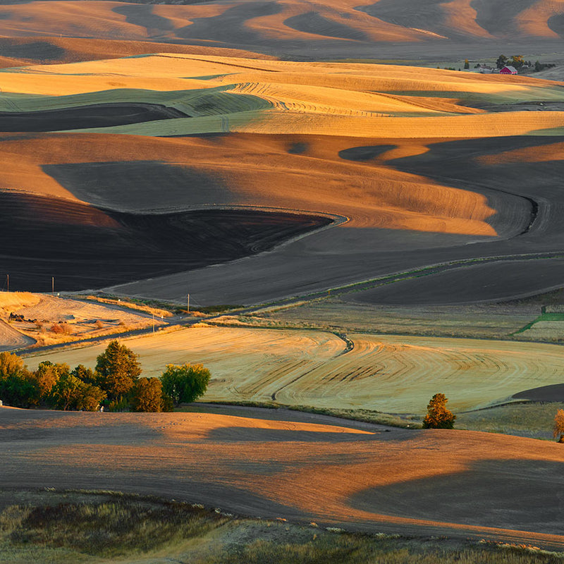 Eastern Washington region fields with rolling hills | Shop for Washington made products by the region they are based from | Local gifts from all parts of Washington state | Made In Washington